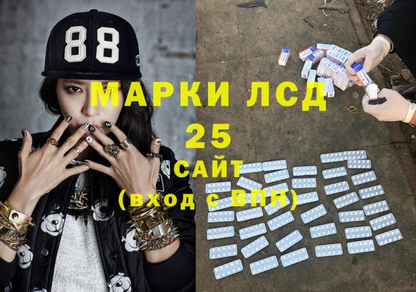 PSILOCYBIN Корсаков