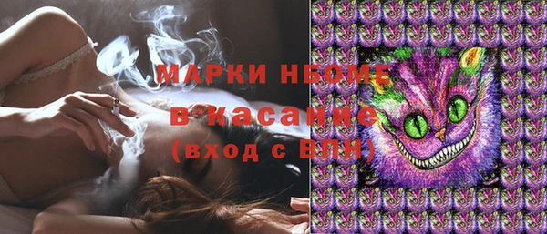 PSILOCYBIN Корсаков