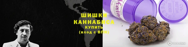 ГАЛЛЮЦИНОГЕННЫЕ ГРИБЫ Кодинск