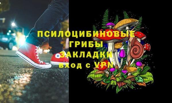 PSILOCYBIN Корсаков