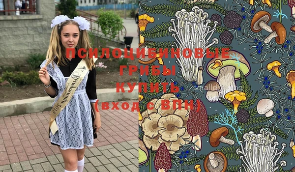 первитин Козельск