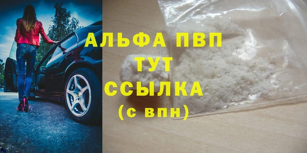 PSILOCYBIN Корсаков