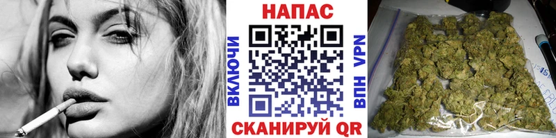 Каннабис конопля  Купить закладки  Колпашево 